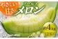アールスメロン 2玉 約4kg メロン