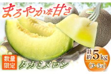 【順次配送中】タカミメロン 約5kg（3～5玉） 青肉 甘い ジューシー メロン フルーツ 果物 くだもの 贈答 ギフト プレゼント 高評価 産地直送 旬【2025年6月上旬～7月上旬発送予定】 [DAT001]