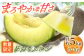 タカミ メロン 約5kg（3〜5玉）