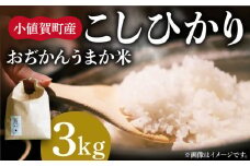 【令和6年度産新米】【3kg】おぢかんうまか米（小値賀町産こしひかり 3kg ・精白米） [DAB010] コシヒカリ こしひかり お米 常温 新米 9000円 以上