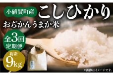 【全3回定期便】【令和6年度産】おぢかんうまか米（小値賀町産こしひかり 3kg ・精白米） [DAB011] コシヒカリ こしひかり お米 常温