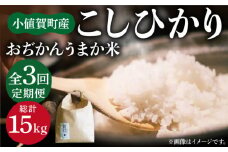【全3回定期便】【令和6年度産】おぢかんうまか米（小値賀町産こしひかり 5kg ・精白米） [DAB015] コシヒカリ こしひかり 米 お米 白米 ご飯 精米 お弁当  常温