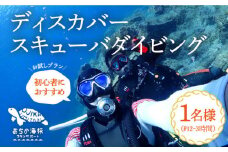 【体験ダイビング】Discover Scuba Diving コース 1名様 [DBB001]