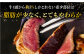 A5ランク ヒレステーキ 150g×5枚 長崎和牛