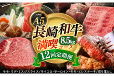 【全12回定期便】【希少部位】ヒレ入り！ 長崎和牛 お肉大好き 定期便  《小値賀町》【有限会社肉の相川】[DAR039] ヒレ肉 ロース 和牛 ミスジ サーロイン ステーキ 国産 切り落とし サイコロステーキ あいかわ 贅沢 12回定期便 12回 定期便