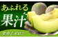 【訳あり】タカミメロン  約5kg（3〜5玉）