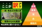 【訳あり】タカミメロン  約5kg（3〜5玉）
