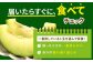 【訳あり】タカミメロン  約5kg（3〜5玉）