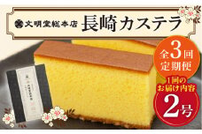 【全3回定期便】 長崎 カステラ 580g（10切入×2本）《文明堂総本店》 [DBF002] かすてら 常温 手土産