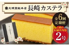 【全6回定期便】 長崎 カステラ 580g（10切入×2本）《文明堂総本店》 [DBF003] かすてら 常温 手土産