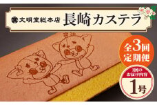 【全3回定期便】 おぢか焼印 特撰 カステラ 580g 1箱 「ちかまるくん」 《文明堂総本店》 [DBF006] かすてら 和菓子 菓子 常温 ギフト 手土産 スイーツ おやつ 卵 ゆるキャラ キャラクター 常温