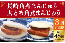  【全3回定期便】 長崎 角煮まんじゅう 8個（箱）・ 大とろ角煮まんじゅう 8個（箱）＜岩崎本舗＞ [DBG028]  角煮まん 角煮 豚角煮 簡単 惣菜 冷凍 おやつ 中華  