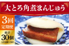 【全3回定期便】 長崎 大とろ角煮まんじゅう 10個 ＜岩崎本舗＞ [DBG043] 角煮まん 角煮 豚角煮 簡単 惣菜 冷凍 おやつ 中華