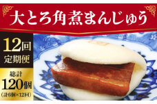 【全12回定期便】 長崎 大とろ角煮まんじゅう 10個 ＜岩崎本舗＞ [DBG045] 角煮まん 角煮 豚角煮 簡単 惣菜 冷凍 おやつ 中華