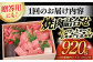 長崎和牛 焼肉 セット 4種