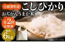 【全2回定期便】【令和6年度産】おぢかんうまか米（小値賀町産こしひかり 3kg ・精白米） [DAB037] コシヒカリ こしひかり 米 お米 白米 ご飯 精米 お弁当  常温