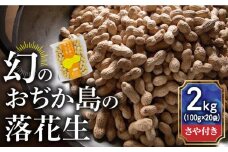 【幻の落花生】おぢか島の落花生（さや付き）100g × 20袋 《小値賀町担い手公社》 [DAA034] 落花生 ピーナッツ おつまみ 常温