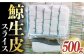 中島鯨商店 鯨