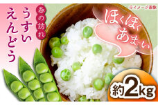 【先行予約】【2025年3月下旬～4月中旬発送分】うすいえんどう 約2kg ≪小値賀町≫【ながさき西海農協小値賀地区園芸部会】 [DAT006] えんどう エンドウ 実えんどう 野菜 常温