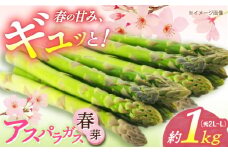 【2025年3月中旬～4月中旬発送分】【数量限定・先行予約】アスパラガス（ 春芽 ）約1kg  アスパラ あすぱら あすぱらがす 旬 産地直送 春 野菜 冷蔵 小値賀町 園芸部会 [DAT004]  1万円 以上