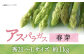 アスパラガス 春芽 約1kg 小値賀町