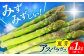 アスパラガス ( 夏芽 ) 約1kg