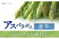 アスパラガス ( 夏芽 ) 約1kg