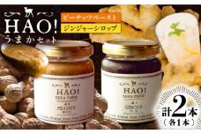 【 HAO！うまかセット】ピーナッツペースト＆ジンジャーシロップ 計2本セット《小値賀町担い手公社》【小値賀町】濃厚 ピーナッツバター 落花生 生姜 スパイス 常温 落花生 セット [DAA039]1万円 以上