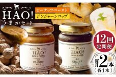 【12回定期便】＜HAO！うまかセット＞ ピーナッツペースト＆ジンジャーシロップ 計2本セット《小値賀町担い手公社》【小値賀町】濃厚 ピーナッツバター 落花生 生姜 スパイス 常温 [DAA043]