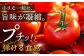 松本さん 極上 ミニトマト 約1kg