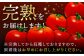 松本さん 極上 ミニトマト 約1kg