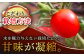 松本さん 極上 ミニトマト 約1kg