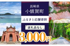 【返礼品なし】長崎県小値賀町 ふるさと応援寄附金（3,000円分） [DYZ002] 3000円 三千円 3000円 分 5000円以下