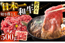 【訳あり】 長崎和牛焼肉切り落とし(肩ロース・バラ） 500g 【A4～A5】【株式会社 MEAT PLUS】 [DBS003]長崎和牛 和牛 国産 牛肉  長崎和牛 焼肉 切り落とし 肩ロース バラ 500g 訳アリ 訳あり 1万円 以上