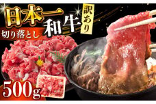 【訳あり】 長崎和牛焼肉切り落とし(肩ロース・バラ） 500g 【A4～A5】【株式会社 MEAT PLUS】 [DBS003]長崎和牛 和牛 国産 牛肉  長崎和牛 焼肉 切り落とし 肩ロース バラ 500g 訳アリ 訳あり 1万円 以上
