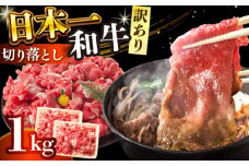 【訳あり】【A4～A5】長崎和牛焼肉切り落とし(肩ロース・バラ）　1kg（500g×2p）【株式会社 MEAT PLUS】 [DBS004]長崎和牛 和牛 国産 牛肉  長崎和牛 焼肉 切り落とし 肩ロース バラ 1kg 500g 2パック 訳アリ 訳あり