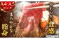 長崎和牛 切り落とし 500g