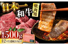 【全12回定期便】【A4～A5】長崎和牛焼肉用　500g【株式会社 MEAT PLUS】 [DBS036]長崎和牛 和牛 国産 牛肉 長崎和牛 焼肉用　500g 長崎和牛 焼肉用　500g12回定期便 定期便 12回