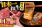 長崎和牛 和牛 国産 牛肉