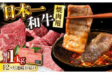 【全12回定期便】【A4～A5】長崎和牛焼肉用　1kg（500g×2p）【株式会社 MEAT PLUS】 [DBS040]長崎和牛 和牛 国産 牛肉  長崎和牛 焼肉用 1kg 500g 2パック12回定期便 定期便 12回