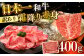 長崎和牛 和牛 国産 牛肉