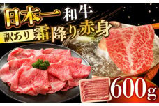 【訳あり】【A4～A5】長崎和牛赤身霜降りしゃぶしゃぶすき焼き用（肩・モモ）600g【株式会社 MEAT PLUS】 [DBS022]長崎和牛 和牛 国産 牛肉  赤身 霜降り しゃぶしゃぶ すき焼き 肩 モモ 600g 訳アリ 訳あり 1万円 以上