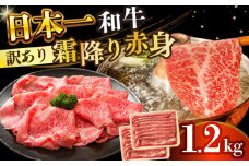 【訳あり】【A4～A5】長崎和牛赤身霜降りしゃぶしゃぶすき焼き用（肩・モモ）1.2kg(600g×2p)【株式会社 MEAT PLUS】 [DBS024]長崎和牛 和牛 国産 牛肉  赤身 霜降り しゃぶしゃぶ すき焼き 肩 モモ 1.2kg 600g 2パック 訳アリ 訳あり