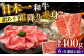 長崎和牛 和牛 国産 牛肉