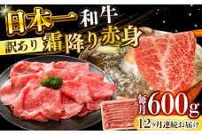 【全12回定期便】【訳あり】【A4～A5】長崎和牛赤身霜降りしゃぶしゃぶすき焼き用（肩・モモ）600g【株式会社 MEAT PLUS】 [DBS120]長崎和牛 和牛 国産 牛肉  赤身 霜降り しゃぶしゃぶ すき焼き 肩 モモ 600g12回定期便 定期便 12回 訳あり 訳アリ