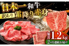 【全2回定期便】【訳あり】【A4～A5】長崎和牛赤身霜降りしゃぶしゃぶすき焼き用（肩・モモ）1.2kg(600g×2p)【株式会社 MEAT PLUS】 [DBS125]長崎和牛 和牛 国産 牛肉  赤身 霜降り しゃぶしゃぶ すき焼き 肩 モモ 1.2kg 600g 2パック2回定期便 定期便 2回 訳あり 訳アリ