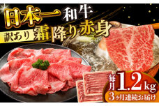 【全3回定期便】【訳あり】【A4～A5】長崎和牛赤身霜降りしゃぶしゃぶすき焼き用（肩・モモ）1.2kg(600g×2p)【株式会社 MEAT PLUS】 [DBS126]長崎和牛 和牛 国産 牛肉  赤身 霜降り しゃぶしゃぶ すき焼き 肩 モモ 1.2kg 600g 2パック3回定期便 定期便 3回 訳あり 訳アリ