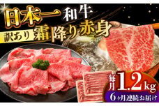 【全6回定期便】【訳あり】【A4～A5】長崎和牛赤身霜降りしゃぶしゃぶすき焼き用（肩・モモ）1.2kg(600g×2p)【株式会社 MEAT PLUS】 [DBS127]長崎和牛 和牛 国産 牛肉  赤身 霜降り しゃぶしゃぶ すき焼き 肩 モモ 1.2kg 600g 2パック6回定期便 定期便 6回 訳あり 訳アリ