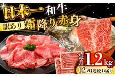 【全12回定期便】【訳あり】【A4～A5】長崎和牛赤身霜降りしゃぶしゃぶすき焼き用（肩・モモ）1.2kg(600g×2p)【株式会社 MEAT PLUS】 [DBS128]長崎和牛 和牛 国産 牛肉  赤身 霜降り しゃぶしゃぶ すき焼き 肩 モモ 1.2kg 600g 2パック12回定期便 定期便 12回 訳あり 訳アリ