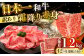 長崎和牛 和牛 国産 牛肉